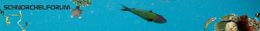 Schnorchelforum